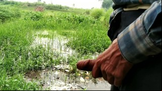 Indian masturbation in outdoor_handjob_cumshotot
